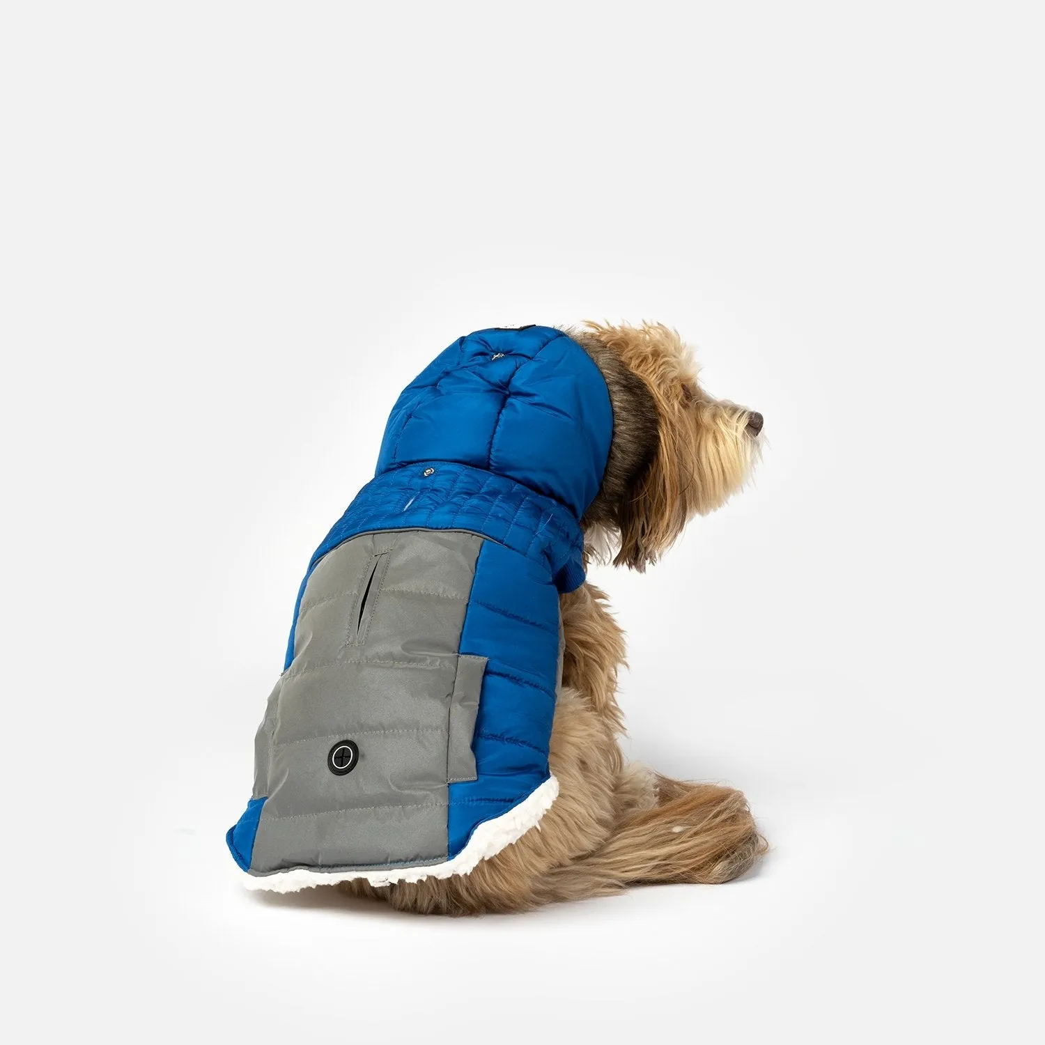 Bailey Dog Jacket - Blue