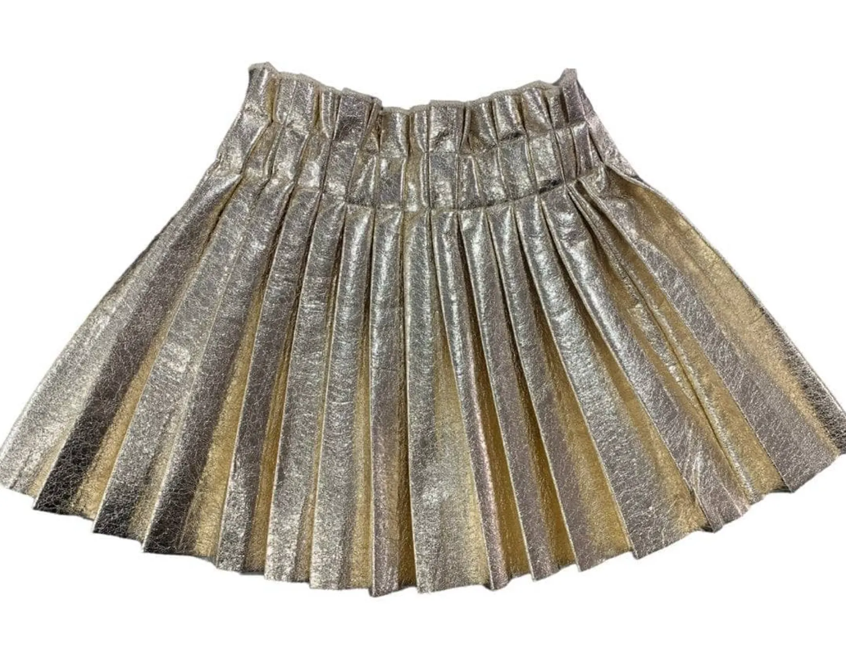 Foil Pleated Skirt