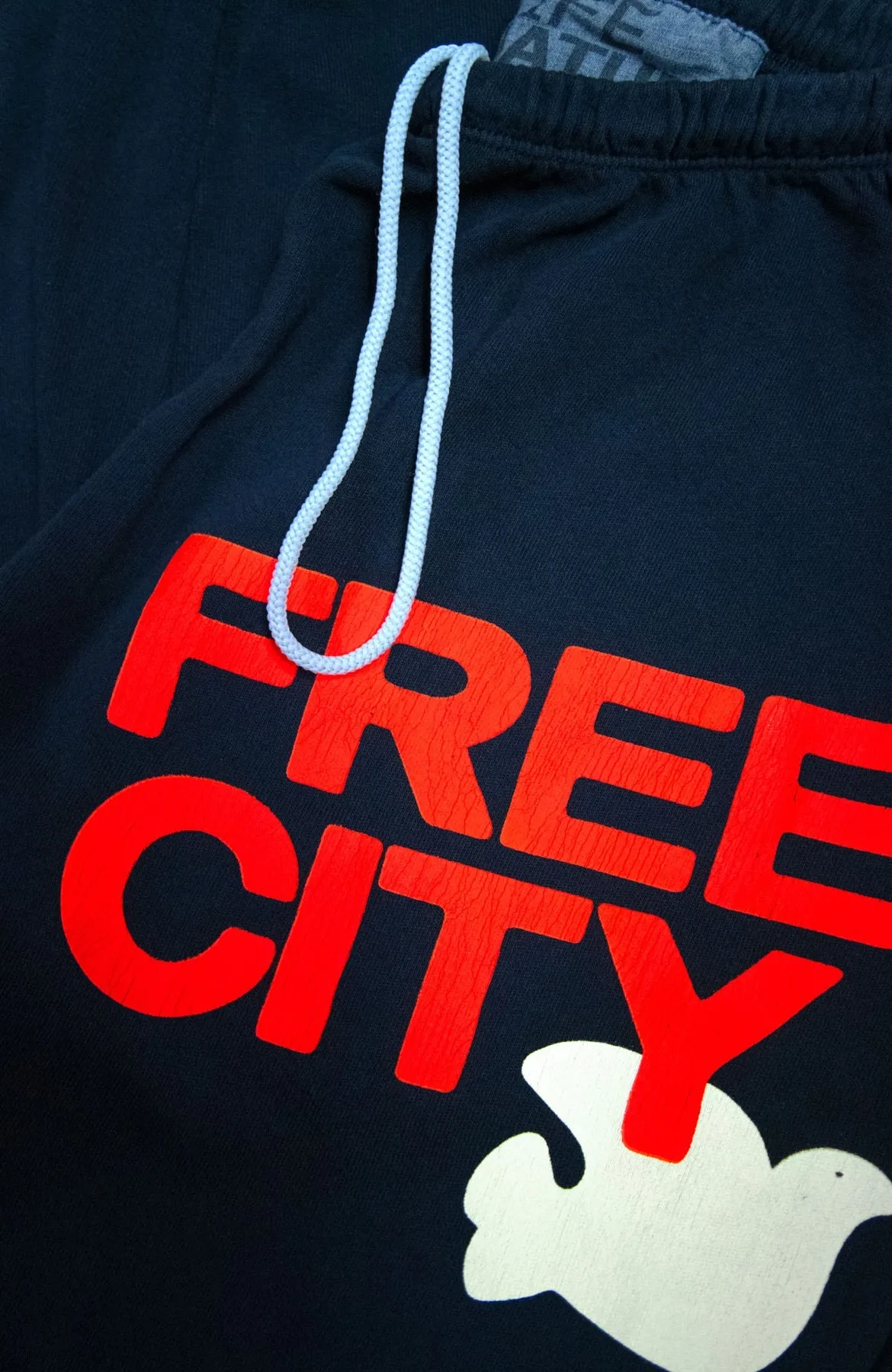 Free City Large Sweatpant in Squidsink Electric