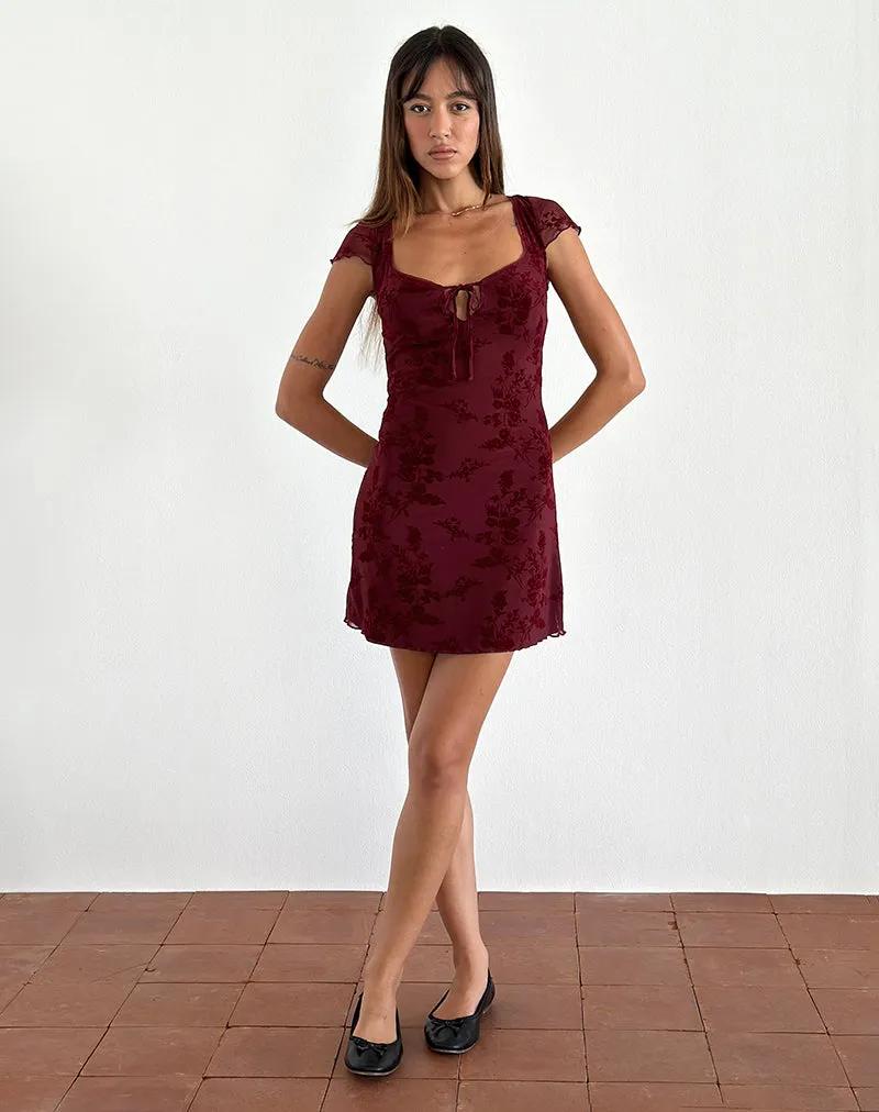 Lashka Mini Dress in Botanical Flower Maroon