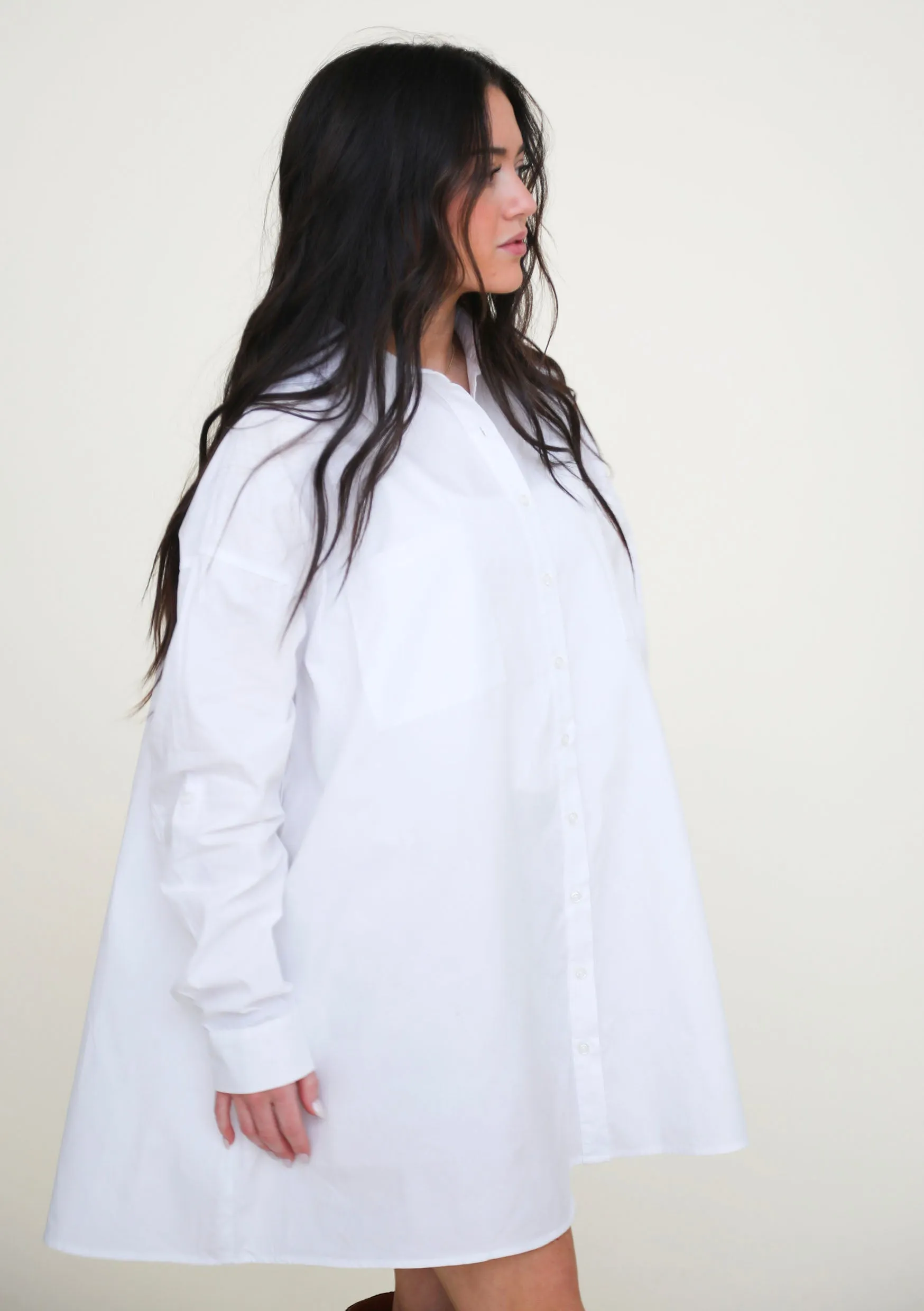 Risky Business Button Down Shirt Dress